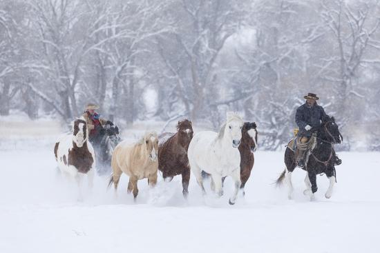 Photographic Print, , large