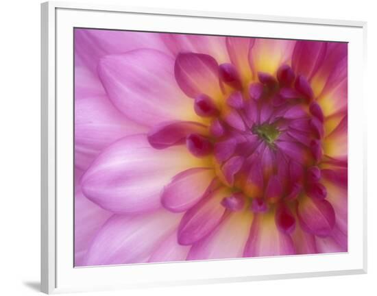 Framed Photographic Print, , large