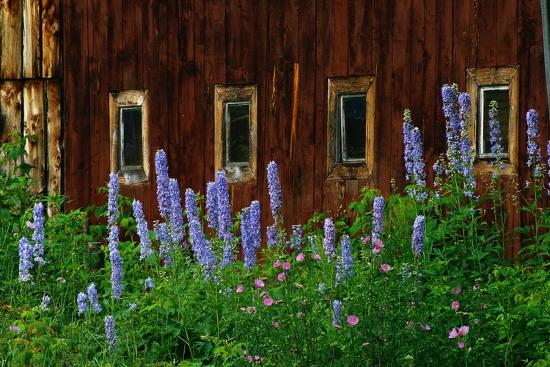 Premium Photographic Print, , large