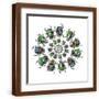 Brown Frame