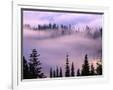 Gramercy White