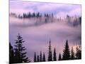 Wood Mount