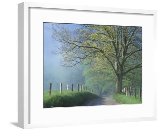 Framed Photographic Print, , large