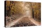 Stretched Canvas