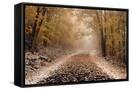 Canvas Black