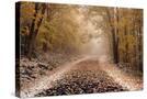 Stretched Canvas