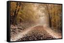 Canvas Black