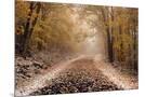Wood Mount
