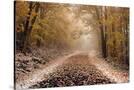 Stretched Canvas
