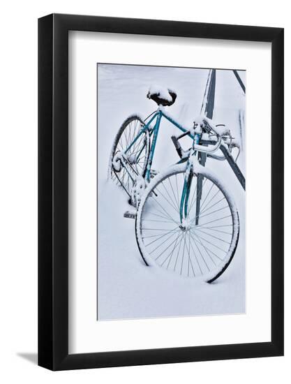 Premium Photographic Print, , large
