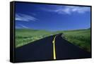 Canvas Black