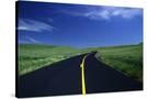 Stretched Canvas