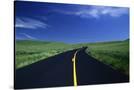 Stretched Canvas