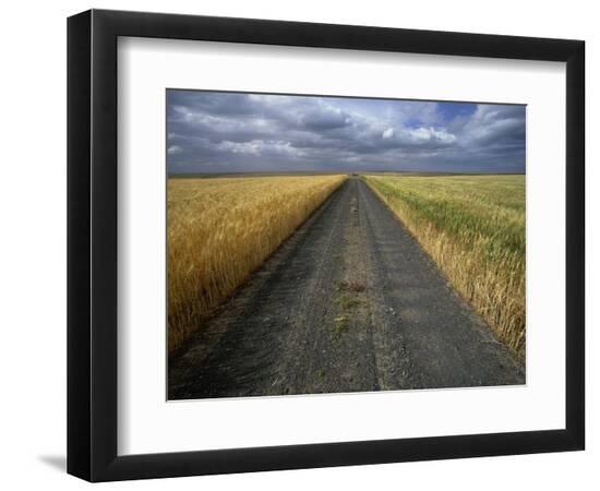 Premium Photographic Print, , large