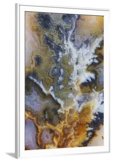 Framed Photographic Print, , large