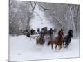 Wood Mount