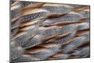 Wood Mount