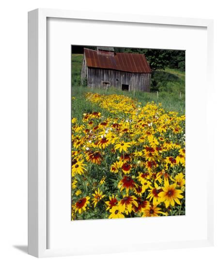 Framed Photographic Print, , large
