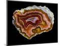 Wood Mount