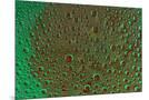 Wood Mount