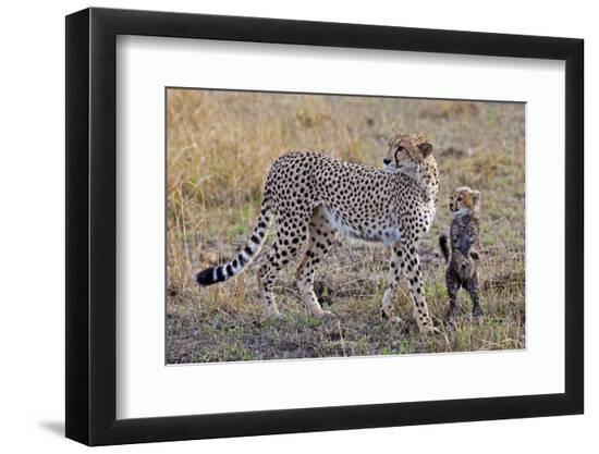Premium Photographic Print, , large