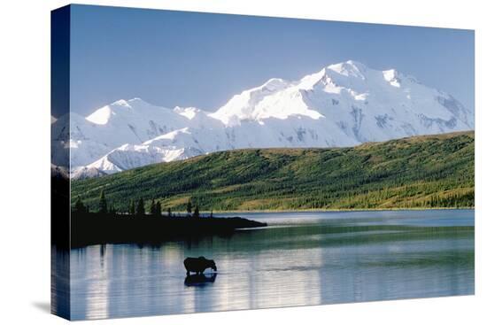 Stretched Canvas Print, , large