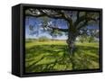 Canvas Black