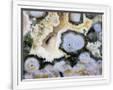 Gramercy White