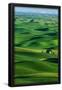 Essential Black