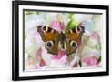 Gramercy Black