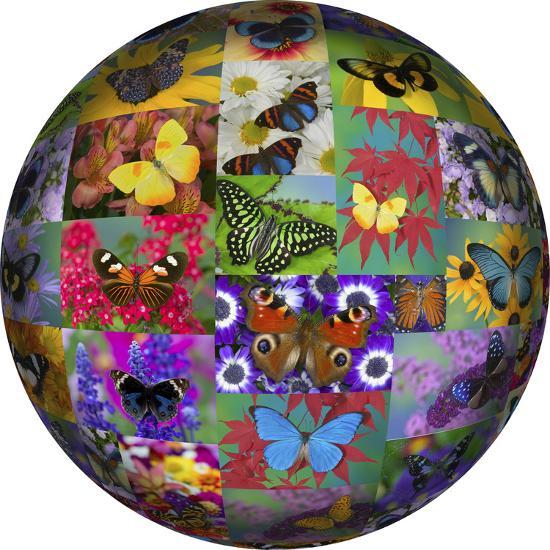 Premium Photographic Print, , large