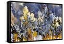 Canvas Black
