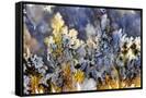 Canvas Black