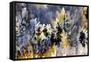 Canvas Black