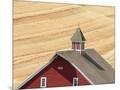 Wood Mount