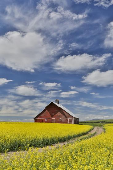 Photographic Print, , large