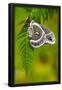Essential Black