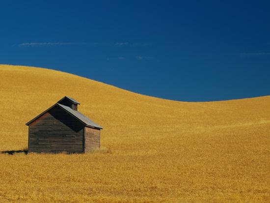 Photographic Print, , large