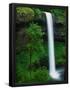 Essential Black