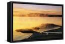Framed Canvas