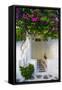 Canvas Black