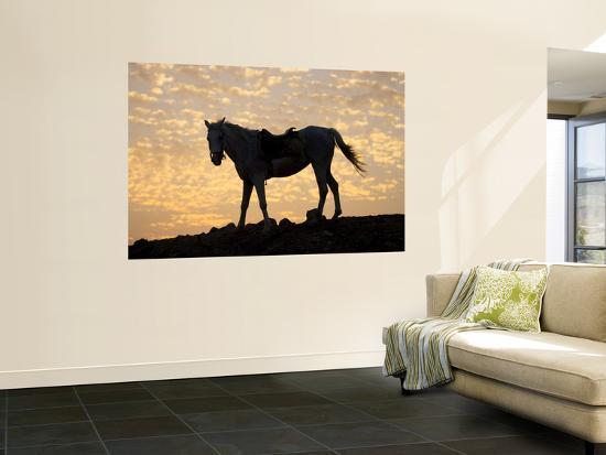 Giant Art Print, , large