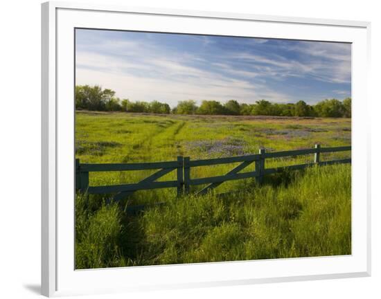 Framed Photographic Print, , large