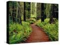 Stretched Canvas