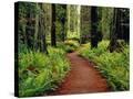 Stretched Canvas