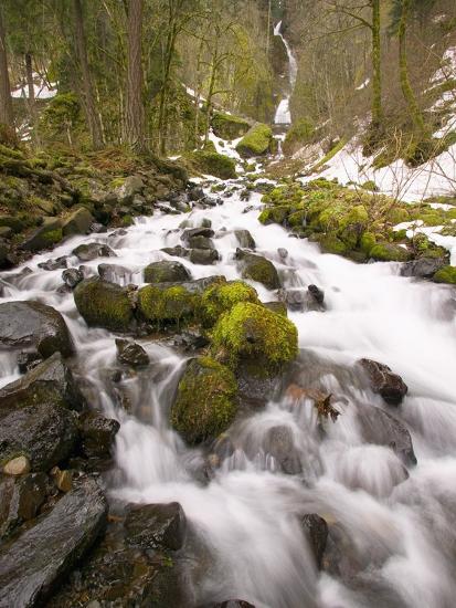 Premium Photographic Print, , large