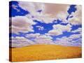 Stretched Canvas
