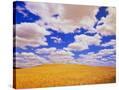 Stretched Canvas