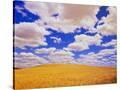 Stretched Canvas