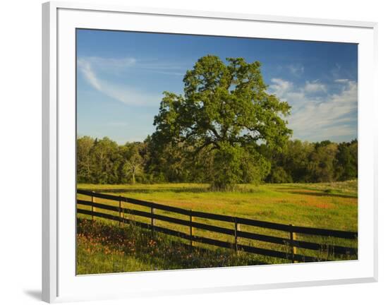 Framed Photographic Print, , large